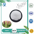 High Quality Lupin Bean Extract Powder 98% Lupeol
